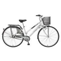 Xe đạp đường phố Asama 27 SW2702-Bánh 27 Inches