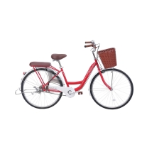 Xe đạp đường phố Thống Nhất New 26 - Bánh 26 Inches