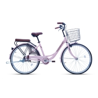 Xe đạp đường phố Thống Nhất LD26- Bánh 26 Inches