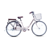 Xe đạp Thống nhất 24 nữ LD2401