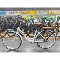 Xe đạp đường phố Thống Nhất LD2401- Bánh 24 Inches