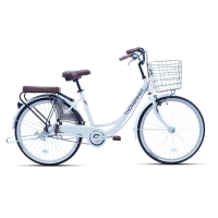 Xe đạp đường phố Thống Nhất LD2401- Bánh 24 Inches