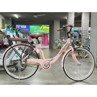 Xe đạp đường phố Thống Nhất LD26- Bánh 26 Inches