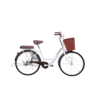 Xe đạp đường phố Thống Nhất New 24 - Bánh 24 Inches