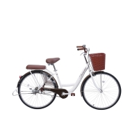 Xe đạp đường phố Thống Nhất New 26 - Bánh 26 Inches
