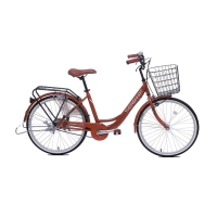 Xe đạp đường phố Thống Nhất LD2401- Bánh 24 Inches