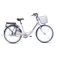 Xe đạp đường phố Thống Nhất LD2401- Bánh 24 Inches