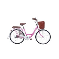 Xe đạp đường phố Thống Nhất New 24 - Bánh 24 Inches