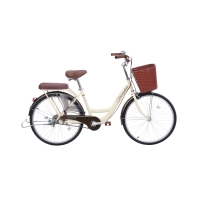 Xe đạp đường phố Thống Nhất New 24 - Bánh 24 Inches