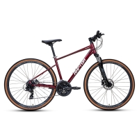 Xe đạp đường phố Raptor Napa - Bánh 700C