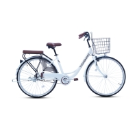 Xe đạp đường phố Thống Nhất LD26- Bánh 26 Inches