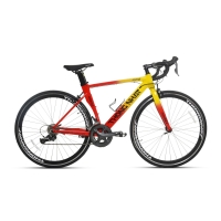 Xe đạp đua Thống Nhất REX - Bánh 700C