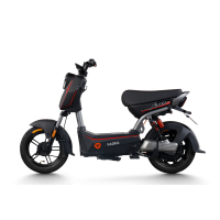 Xe điện Yadea Xbull H