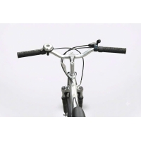 Xe đạp trẻ em Asama SUS 2001-Bánh 20 Inches