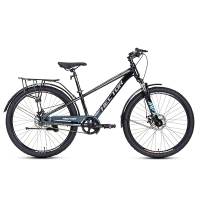 Xe đạp địa hình Hector Look bánh 26 inches 