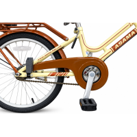 Xe đạp trẻ em Asama PU20 - Bánh 20 Inches
