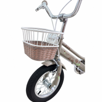 Xe đạp trẻ em QT 1203 - Bánh 12 Inches