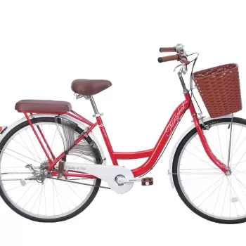 Xe đạp đường phố Thống Nhất New 26 - Bánh 26 Inches