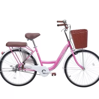 Xe đạp đường phố Thống Nhất New 24 - Bánh 24 Inches