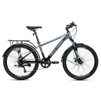 Xe đạp địa hình Hector Strong bánh 24 inches