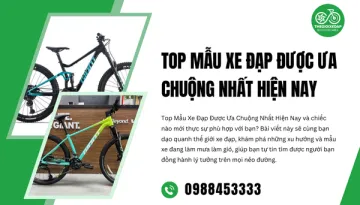 Top Mẫu Xe Đạp Được Ưa Chuộng Nhất Hiện Nay