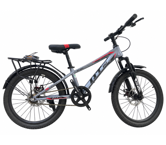 Xe đạp trẻ em QT120 bánh 20	