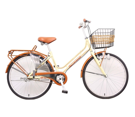 Xe đạp đường phố Asama PU24 - Bánh 24 Inches 