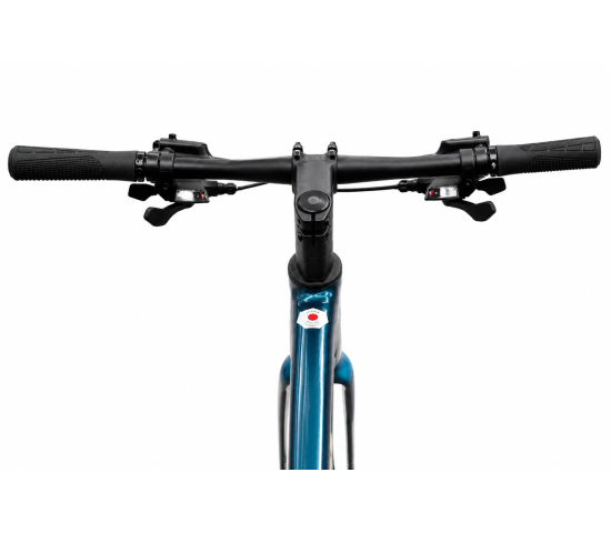 Xe đạp đường phố Catani 8.3 bánh 700c