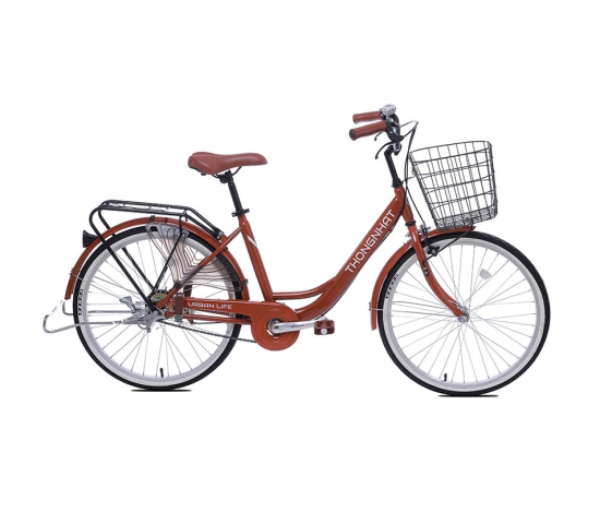 Xe đạp đường phố Thống Nhất LD2401- Bánh 24 Inches