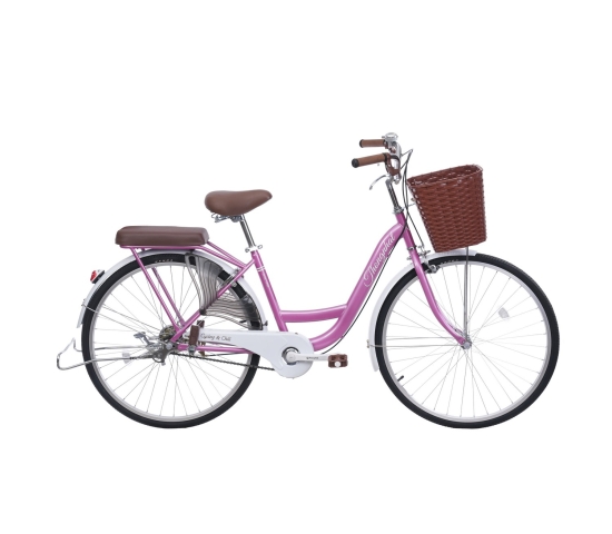 Xe đạp đường phố Thống Nhất New 26 - Bánh 26 Inches