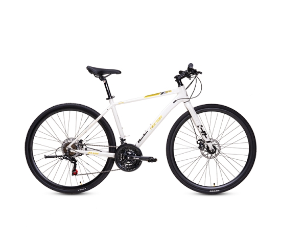 Xe đạp đường phố Hector Zeus - Bánh 700C