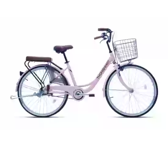 Xe đạp đường phố Thống Nhất LD26- Bánh 26 Inches