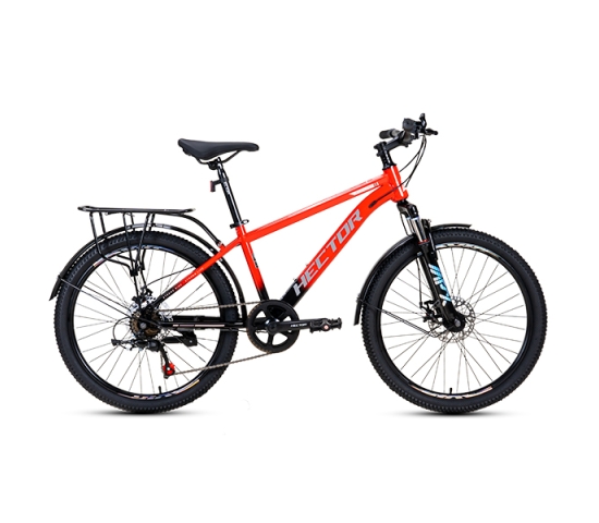 Xe đạp địa hình Hector Strong bánh 24 inches