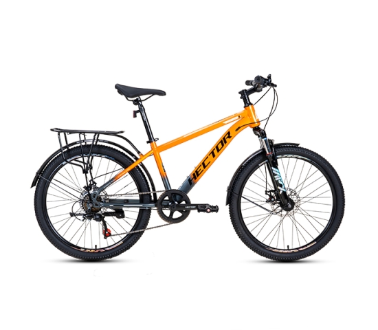 Xe đạp địa hình Hector Strong bánh 24 inches