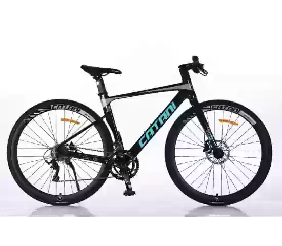 Xe đạp đường phố Catani 8.3 bánh 700c