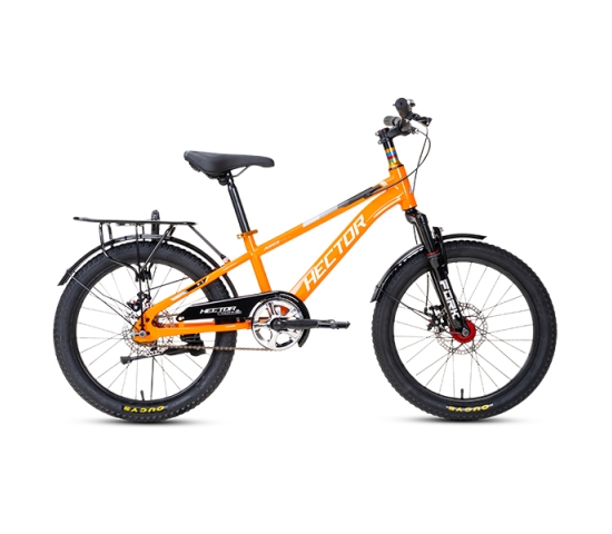 Xe đạp trẻ em Hector Ares 2B - Bánh 20 Inches