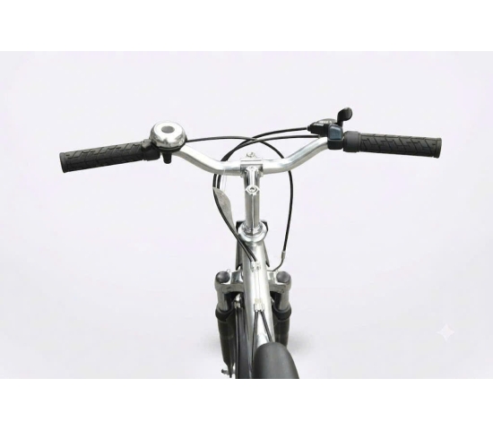 Xe đạp trẻ em Asama SUS 2001-Bánh 20 Inches