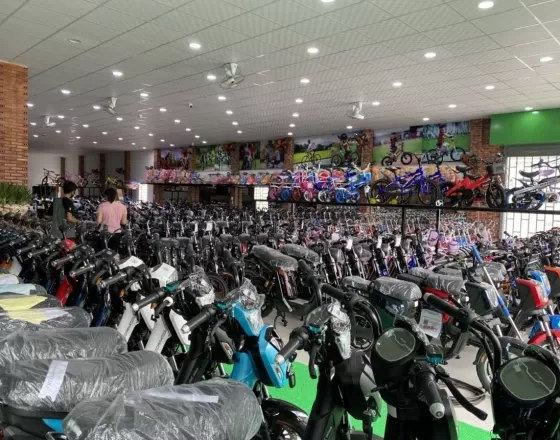 Mua Xe Đạp Địa Hình Ở Đâu Tại Vũng Tàu Uy Tín