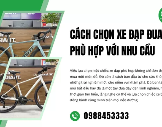 Cách Chọn Xe Đạp Đua Phù Hợp Với Nhu Cầu