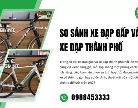 So Sánh Xe Đạp Gấp Và Xe Đạp Thành Phố
