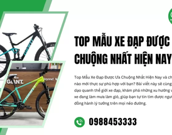 Top Mẫu Xe Đạp Được Ưa Chuộng Nhất Hiện Nay