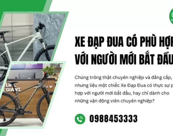 Xe Đạp Đua Có Phù Hợp Với Người Mới Bắt Đầu?