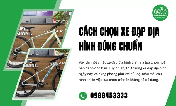 Cách Chọn Xe Đạp Địa Hình Đúng Chuẩn