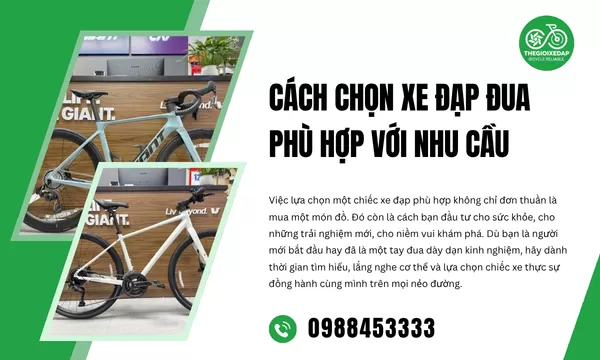 Cách Chọn Xe Đạp Đua Phù Hợp Với Nhu Cầu