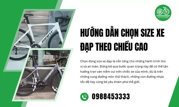 Hướng Dẫn Chọn Size Xe Đạp Theo Chiều Cao