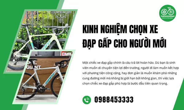 Kinh Nghiệm Chọn Xe Đạp Gấp Cho Người Mới
