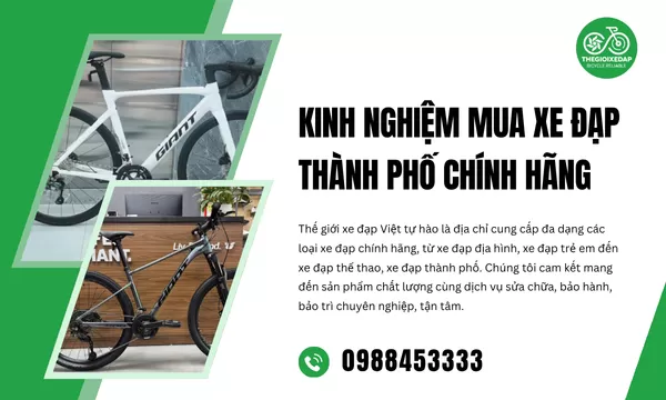 Kinh Nghiệm Mua Xe Đạp Thành Phố Chính Hãng