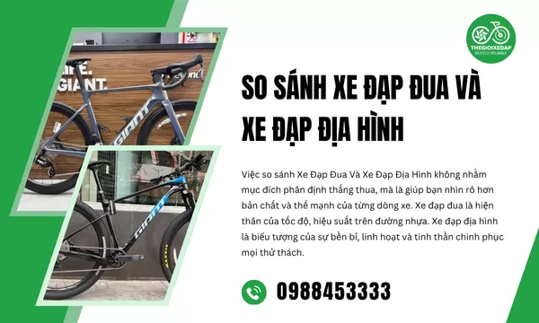 So Sánh Xe Đạp Đua Và Xe Đạp Địa Hình