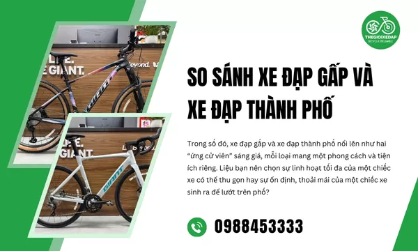 So Sánh Xe Đạp Gấp Và Xe Đạp Thành Phố
