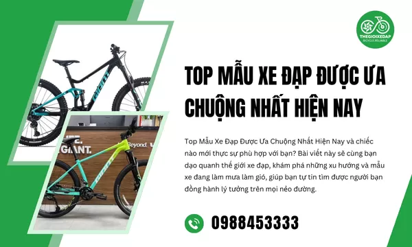 Top Mẫu Xe Đạp Được Ưa Chuộng Nhất Hiện Nay
